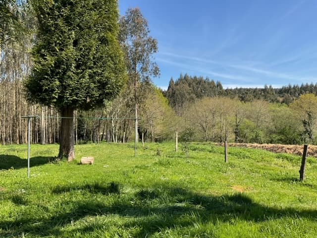 Casa de uso turístico en Ordes